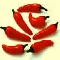 Peperoncino piccante calabrese